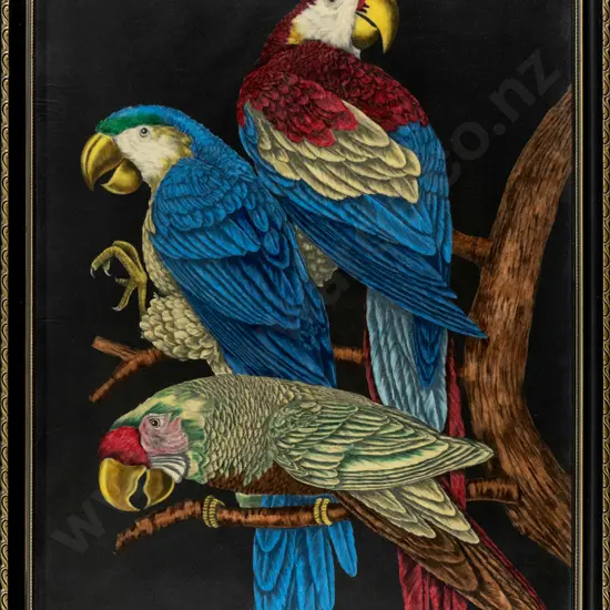 framed print - parrots H-600 W-450