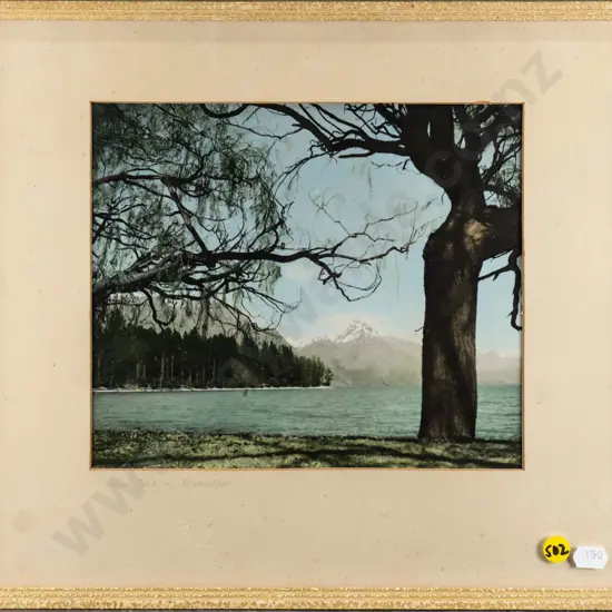 framed vintage hand coloured photograph "Walter Peak Queenstown" (slight foxing to surround)H-190 W-220