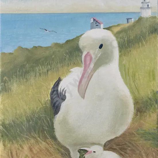 illegible signature - boxed acrylic -albatros at Taiaroa Head H-300 W-200
