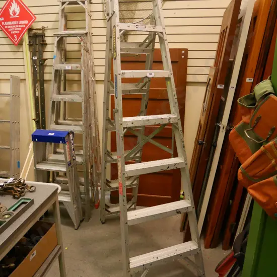 Gorilla 6 step alumium ladder