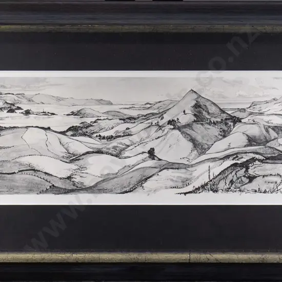 framed HV Miller prnt - Otago Peninsula H-160 W-420
