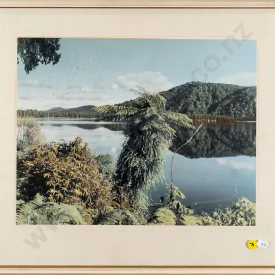 framed vintage photograph - lake scene (surround needs attention and glass needs cleaned)  H-290 W-360