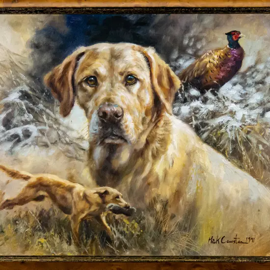 Mick Cawston 1991 - framed oil - dog and pheasant H-350 W-450