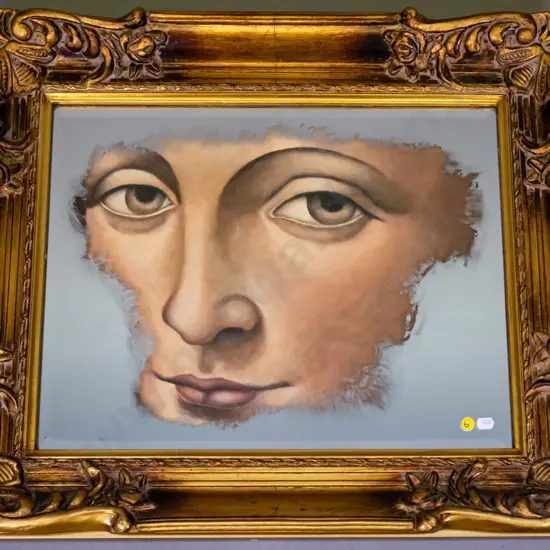 Donna Demente - ornately framed picture mirror H-560 W-660