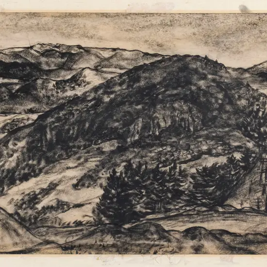 John Shotton Parker '75 - mounted (poorly) charcoal - Otago Peninsula H-480 W-780