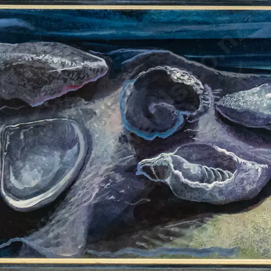 Els Noordhof - framed oil - seashells  H-300 W-600