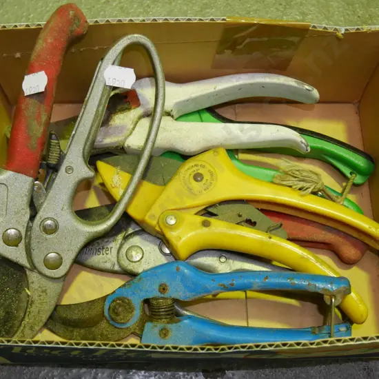 box; secateurs