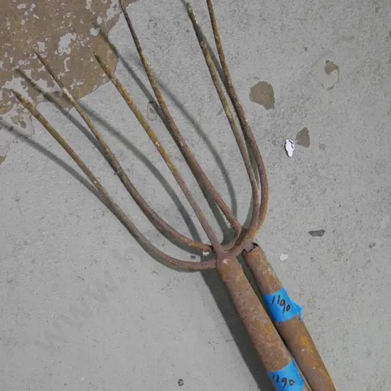 2 rusty pitch forks