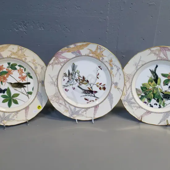 3 Royal Worcester John James Audubon Birds of America plates D-280