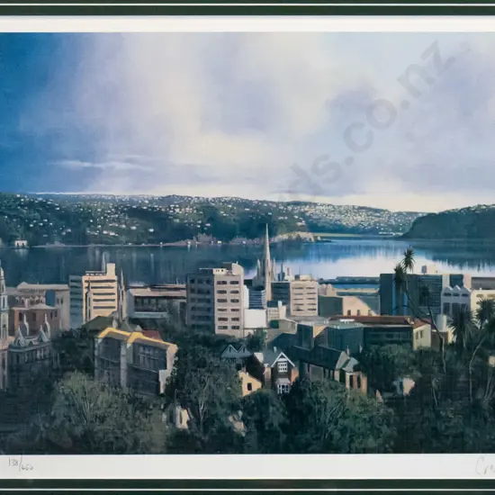 Graham Brinsley - framed ltd edition print 138/450 "Dunedin" H-350 W-540