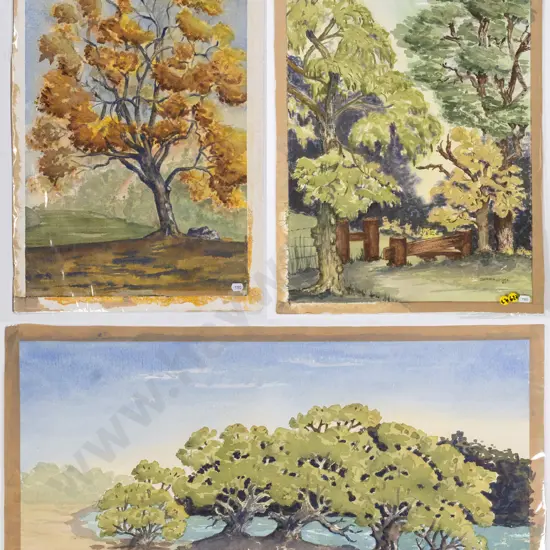 2x unframed Brenda Shore watercolours - tree scenes Each H-540 W-350