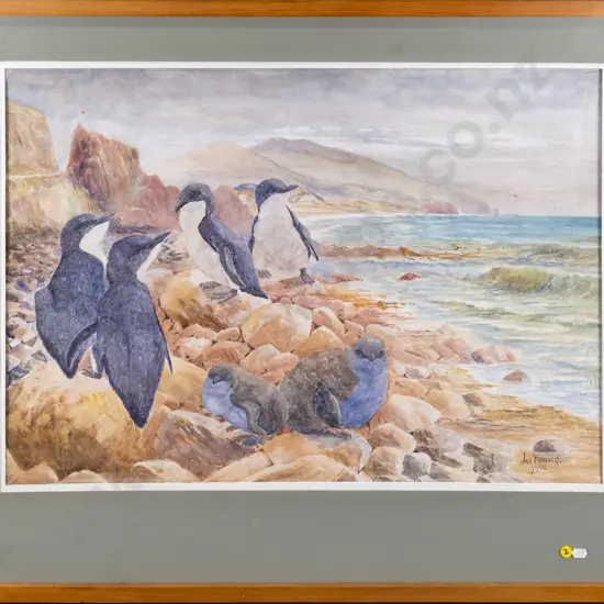 Jas Young '98 - framed watercolour - penguins H-500 W-710 (slight foxing)