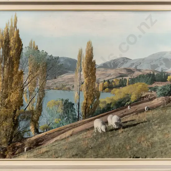 framed Whites Aviation hand coloured photograph "Lake Hayes" H-490 W-740 (some overall aging, deep scratch to signature)
