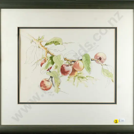 Randall Froude - framed watercolour - apples on branch H-240 W-310