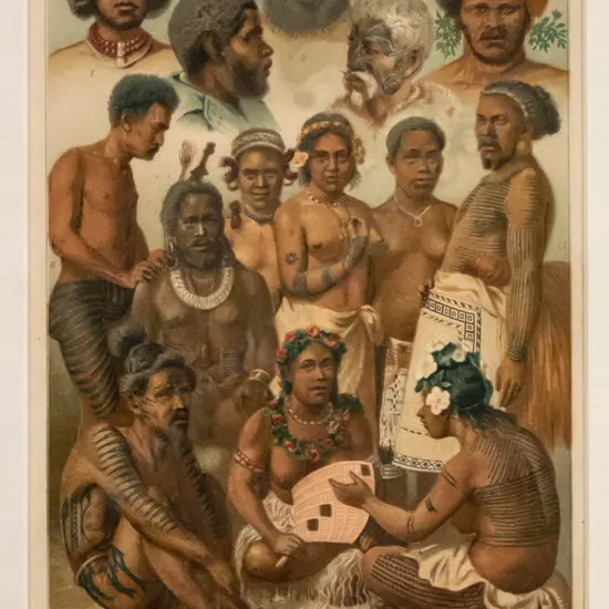 mounted chromo-lithograph "Australasians and Polynesians" H-230 W-130