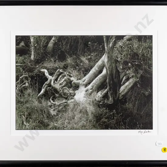 framed photograph "Jack's Bay 2005" H-270 W-370