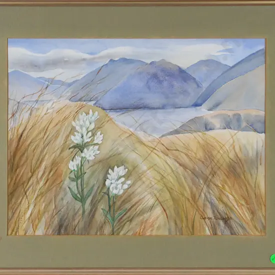 Gwenda Rowlands - framed watercolour "On Coronet Peak, Lake Watatipu" H-300 W-390