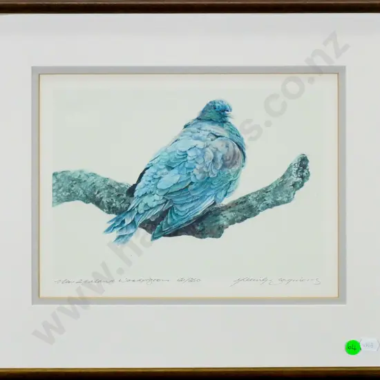 Merrilyn Jaquiery - framed ltd edition print 121/250 "New Zealand Woodpigeon" H-220 W-290