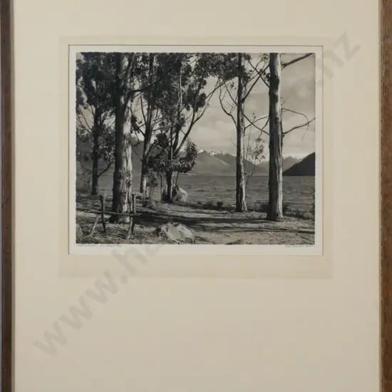 framed vintage George Chance photograph "Lake Wakatipu from Queenstown" H-200 W-260