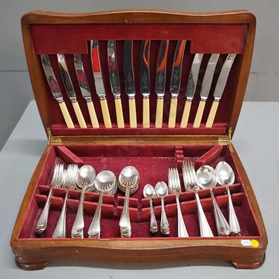 plated cutlery in oak canteen - 2 different patterns, some yellowing to bone-handled knives