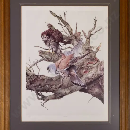 Raymond Ching - framed ltd edition print 342/850 - Kestrels H-620 W-470