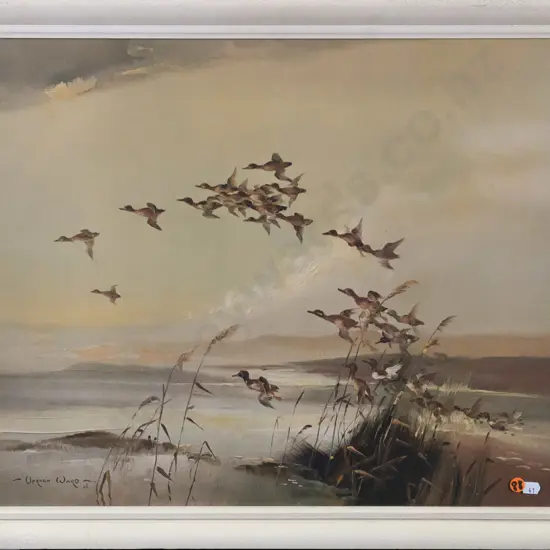 framed Vernon Ward print "Wild Alarm" H-450 W-530